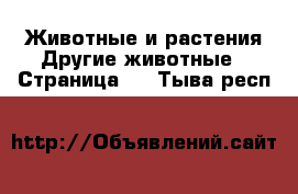 Животные и растения Другие животные - Страница 2 . Тыва респ.